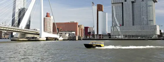 Erasmus bridge, water taxi, de Rotterdam
