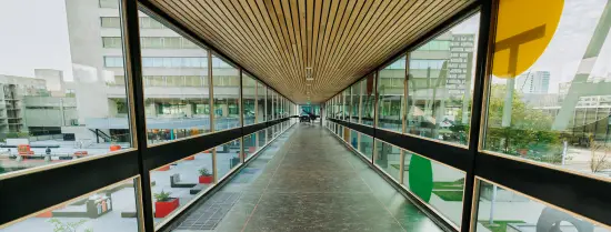 Inside the air bridge on the campus woudestein