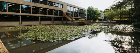 University Library and pond