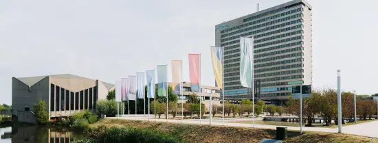 Image of the campus woudestein, showcasing the flags of the School's and Institutes