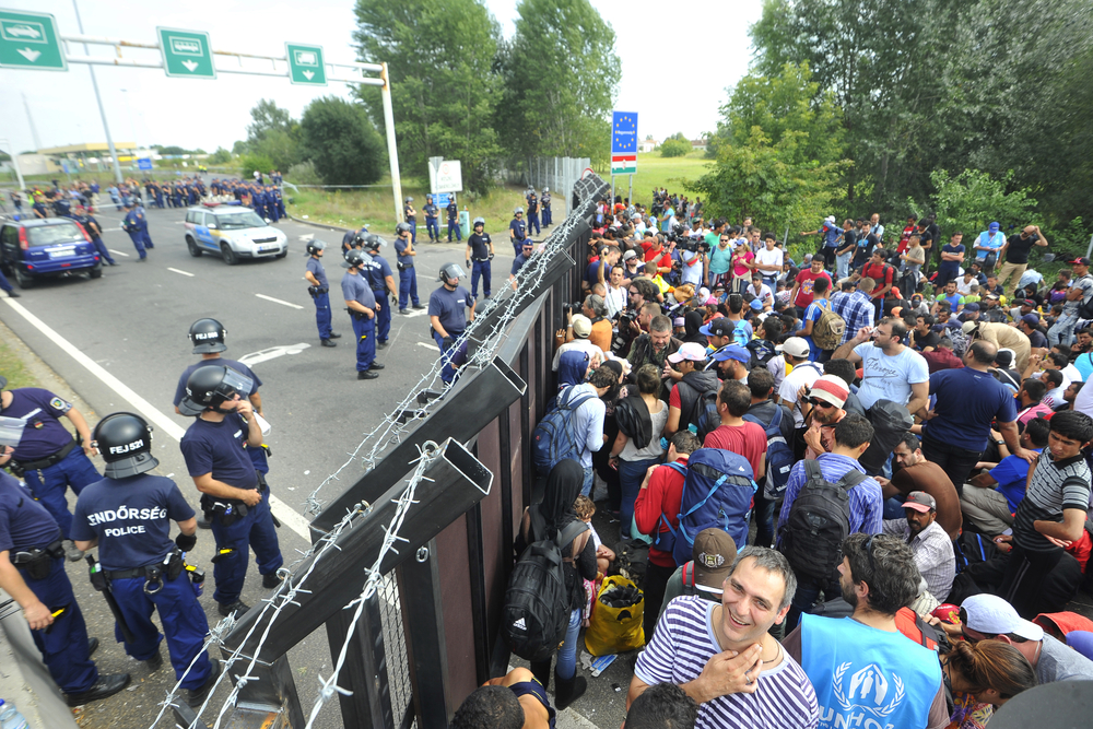 Migration