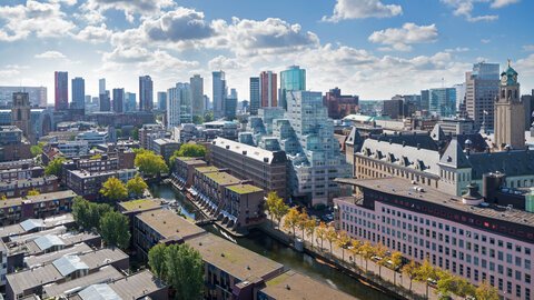 Rotterdam landscape