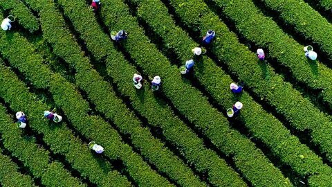 Fostering inclusive prosperity