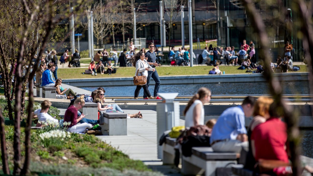 Bachelor Programmes | Erasmus University Rotterdam