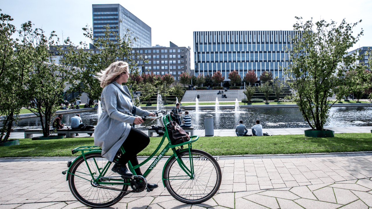 Parkeren van fietsen | Erasmus University Rotterdam