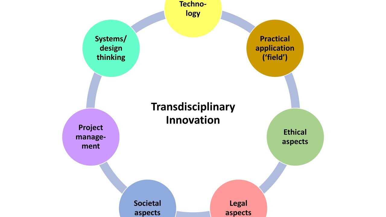 Transdisciplinary Innovation is not simple; three things you may need