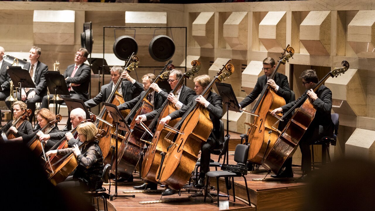 Эстрадный оркестр новосибирской филармонии. Музыканты оркестра. Инструментальный оркестр. Дирижеры адмиралтейского оркестра. Оркестр версии.