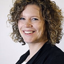 dr. AP (Ank) Ringoot