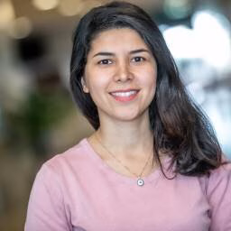 N (Negin) Jamili, MSc
