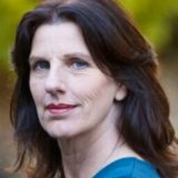 prof.dr.ir. DJM (Thea) Hilhorst