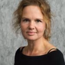 prof.dr. I (Iris) Wallenburg