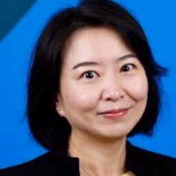 prof.dr. Y (Yijing) Wang