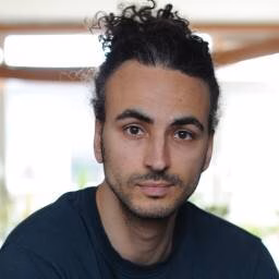 S (Savriel) Dillingh