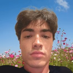 ir. M (Mario) García Pascual