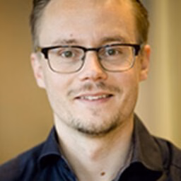 dr. IF (Ingmar) van Meerkerk