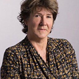 prof.dr. (Majone) MJ Steketee