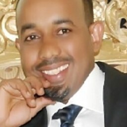 dr. (Binyam Afewerk) BA Demena