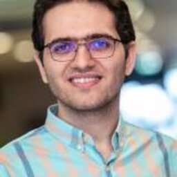 (Hamed) H Vafa Arani