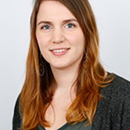 (Anne) AK van Eldik MSC MA