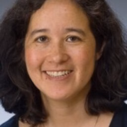 prof.dr. RL (Robin) Lumsdaine