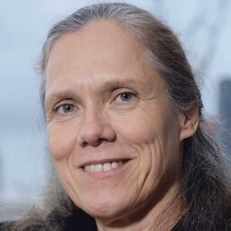 prof.dr. CM (Carola) Hein