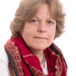prof.dr. (Ellen) E Hey