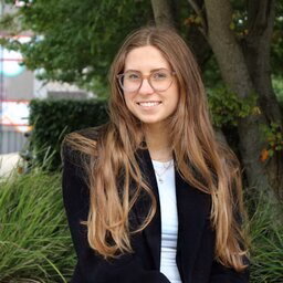 mr. V (Verona) Twilt