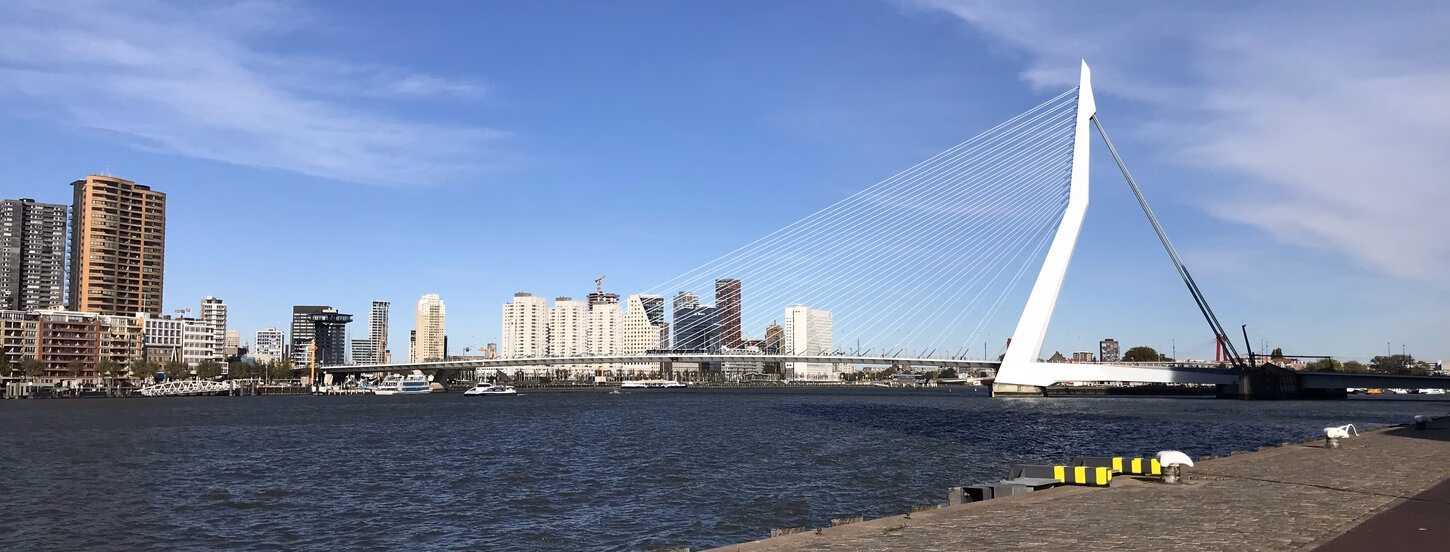 Erasmusbrug vanaf de kade