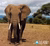 Kenia nieuwe bestemming van het EFR Involve Research Project