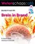 Wetenschapscafé: Brein in brand