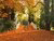10 Rotterdam parks you just have to visit