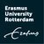 EUR corporate avatar huisstijltegel