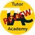 Investigating the Tutor Academy