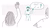 Drawing of students showing their (dis)agreement to lecturer's statement