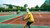 Person seen from behind in yellow T-shirt with tennis racket on tennis court.