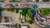 Image - Trucks Aerial View