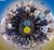 Ukrainian students in a circle