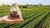 Geldzak op het platteland
