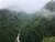 Aerial Photo of river between trees