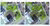 EUC Garden before and after: first you see a paved square, next to it a green garden.