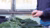Kale