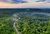 Overview of a forest in the United States
