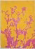 Kunstwerk van Piet Dieleman, roze bloemen op een gele achtergrond.
