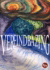 Abstract graphic with swirling colors, blue mosaic triangle and bold white “VEREENDBAZING” text