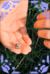 Hands holding a tiny gray frog over grass, surrounded by a purple ornamental frame