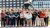 Erasmus Education Fund ontvangt cheque van € 13400,51