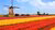Nederlands - Language & Training Centre