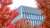 Erasmus Honours
