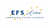 Logo Europese Fiscale Studies