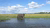 Elephant in Zambia
